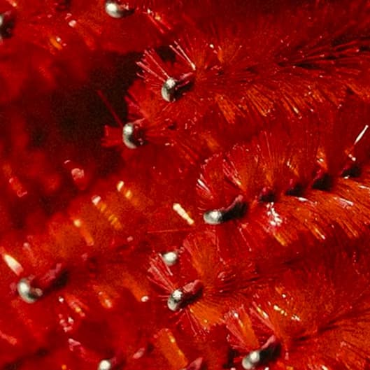 Volume Relash Package at Lashes by Adrienne in Manitowoc, WI